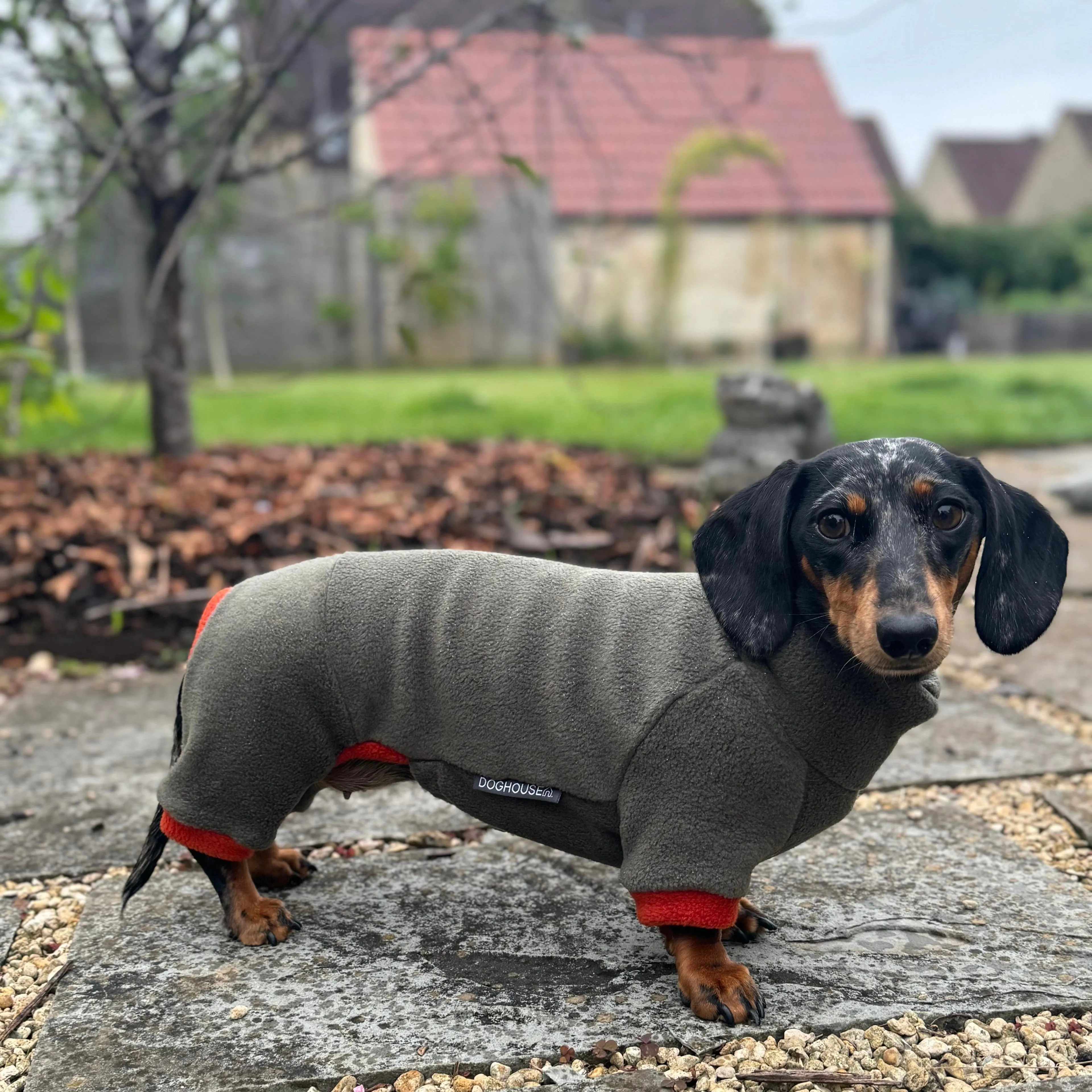 Dachshund Fleece Winter Suits with 4 Legs