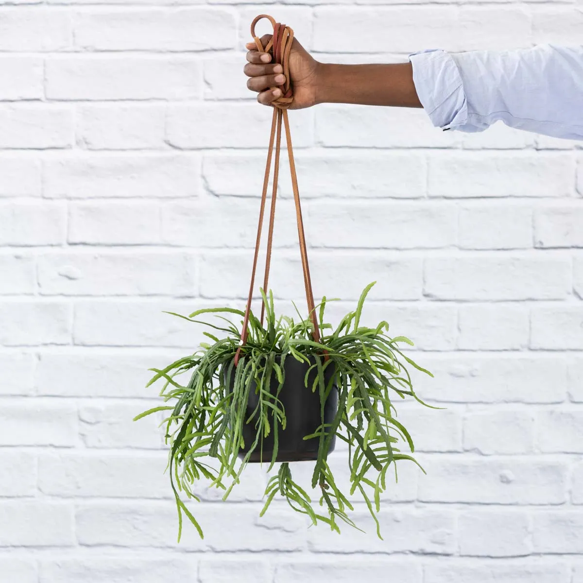 Emerson Leather Matte Hanging Pot