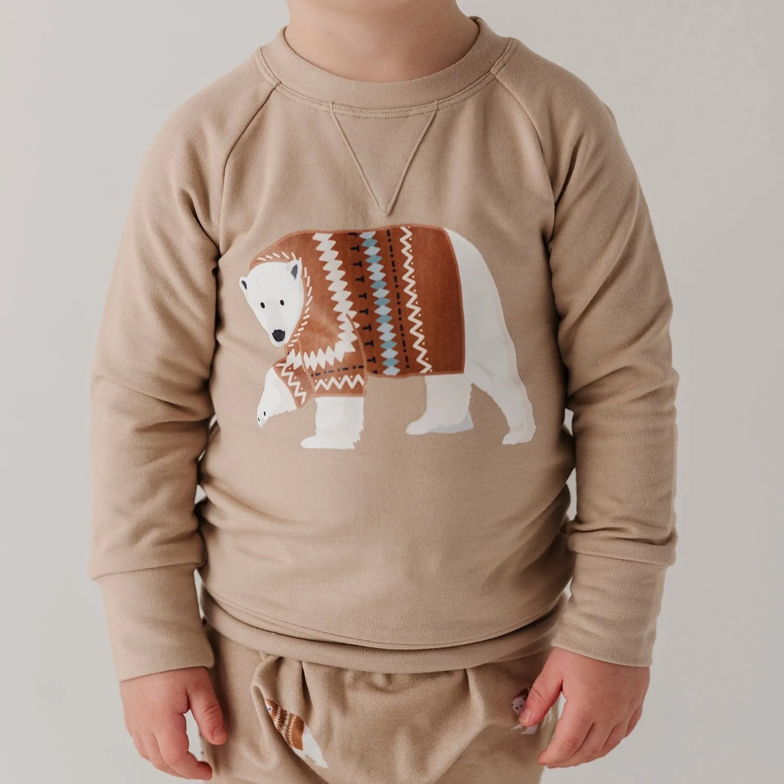 Polar Bear Raglan Sweater